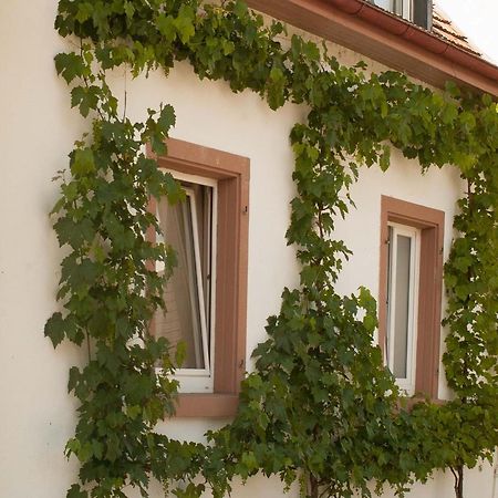 Ferienhaus Am Kuenstleratelier Riegel am Kaiserstuhl Esterno foto