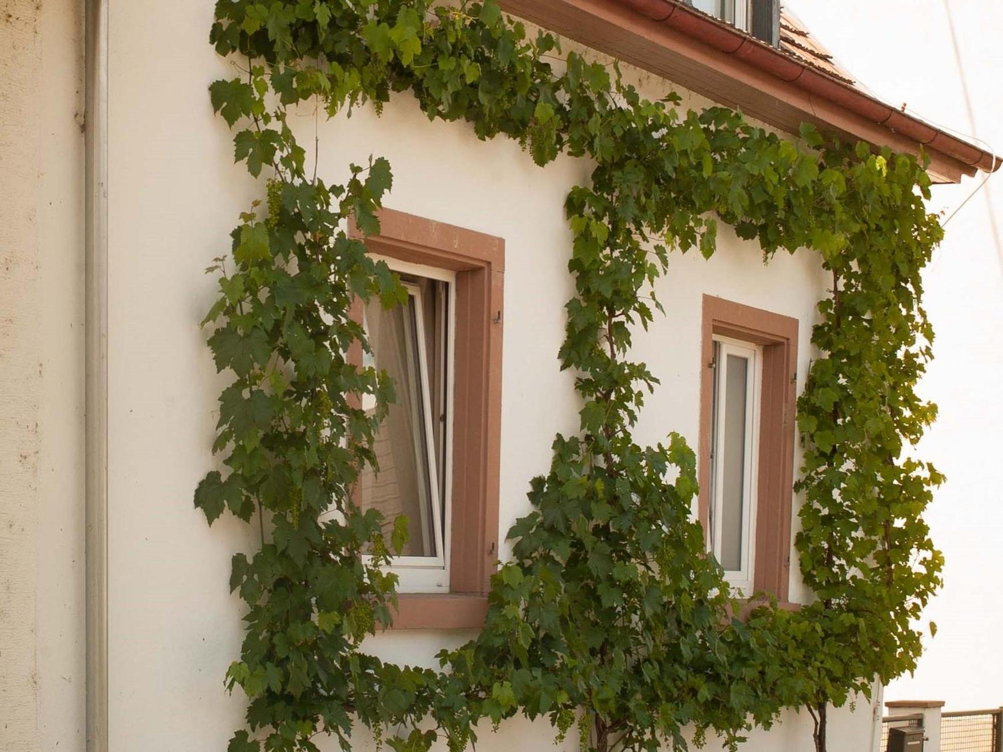 Ferienhaus Am Kuenstleratelier Riegel am Kaiserstuhl Esterno foto